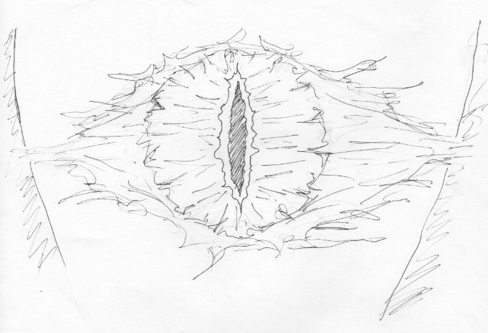 700x478 Cool Easy Things To Draw When You Are Bored Stuff We Blog