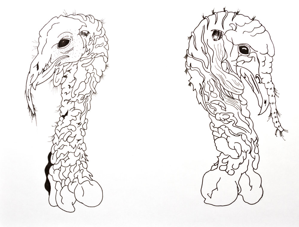 1000x761 Drawings Snockard Channing