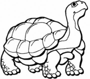 360x318 Easy Drawings Easy To Do And All Done Step By Step