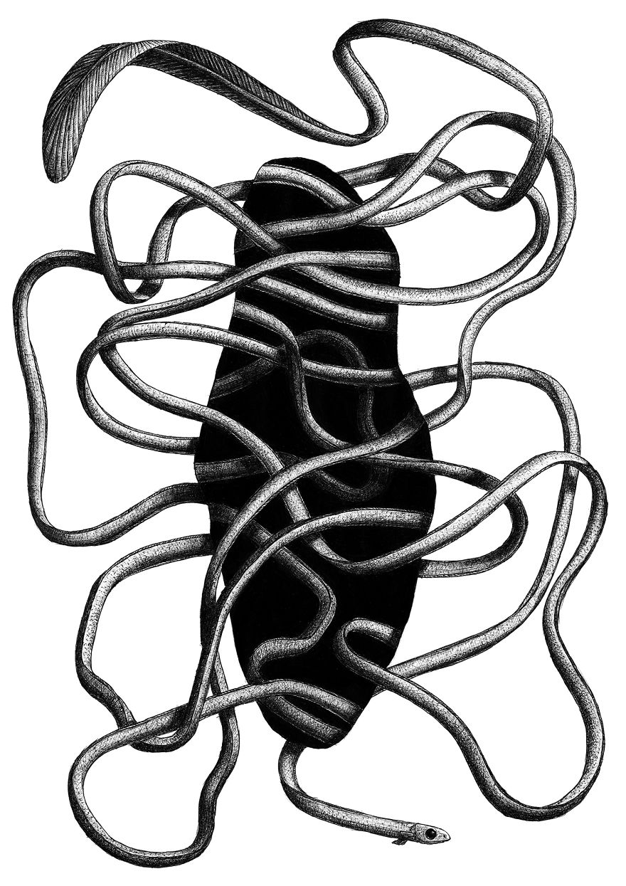 880x1245 I Draw Optical Illusions Featuring Different Animals Bored Panda