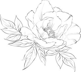 320x285 Drawing Of A Flower How To Draw Flower Arrangement