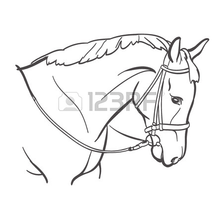 450x411 Horse Drawn Stock Photos. Royalty Free Business Images