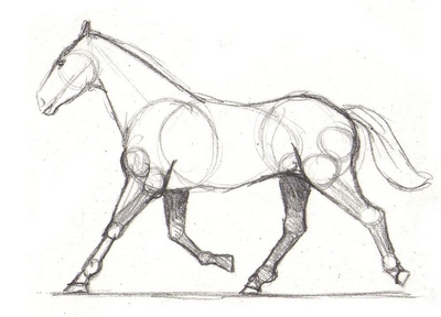 400x288 Drawing Lesson For Beginner Artists The Proportions Of A Horse