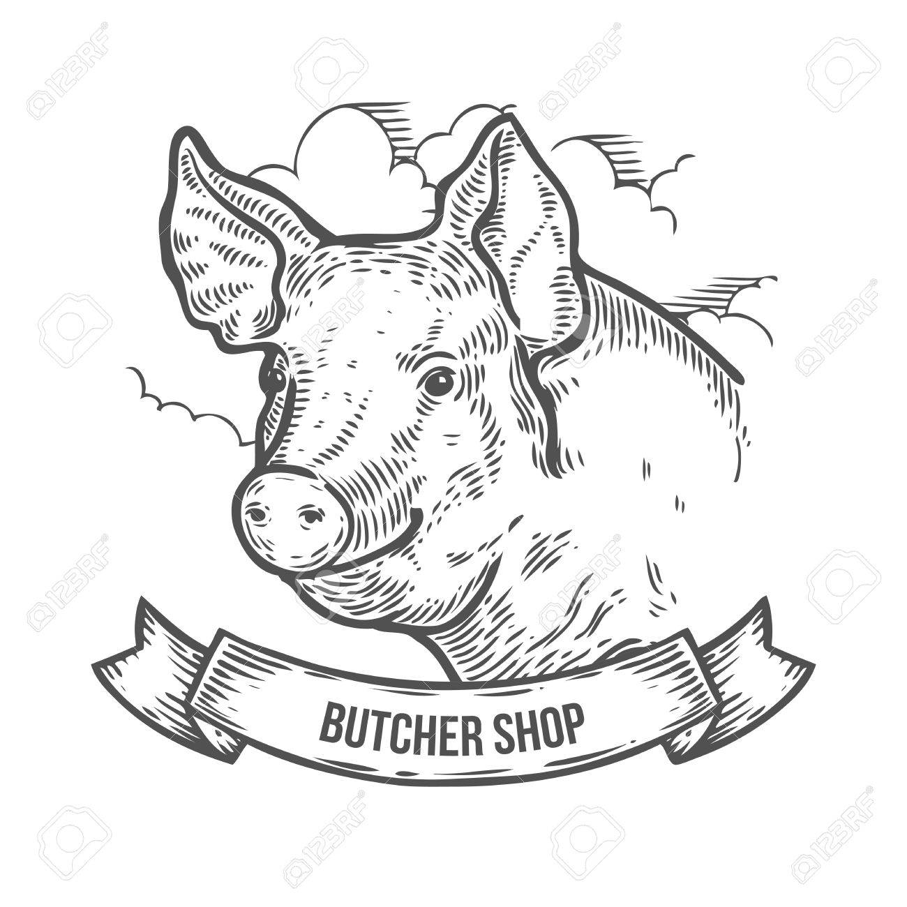 1300x1300 Pig Head Butcher Shop. Hand Drawn Sketch In A Graphic Style