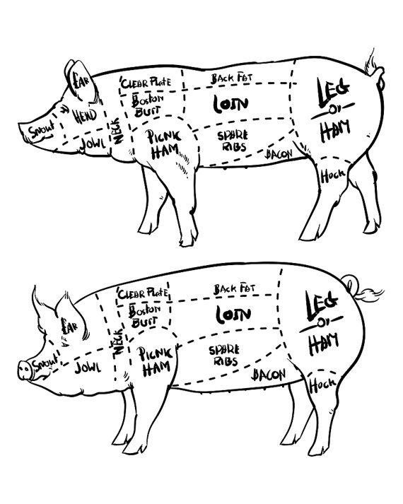 570x713 80% Off Sale Cut Of Meat Set. Hand Drawn Pig Isolated. Drawing