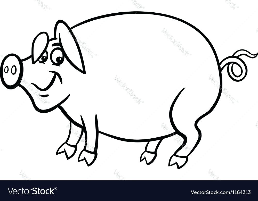 1000x780 Coloring Book Pig Also Farm Pig Cartoon For Coloring Book Vector