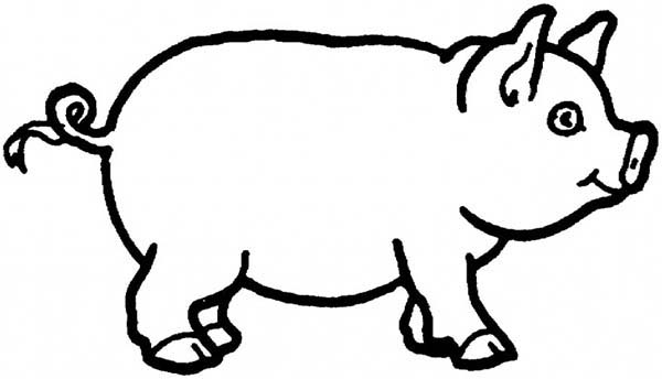 600x344 How To Draw A Pig Coloring Page Coloring Sky