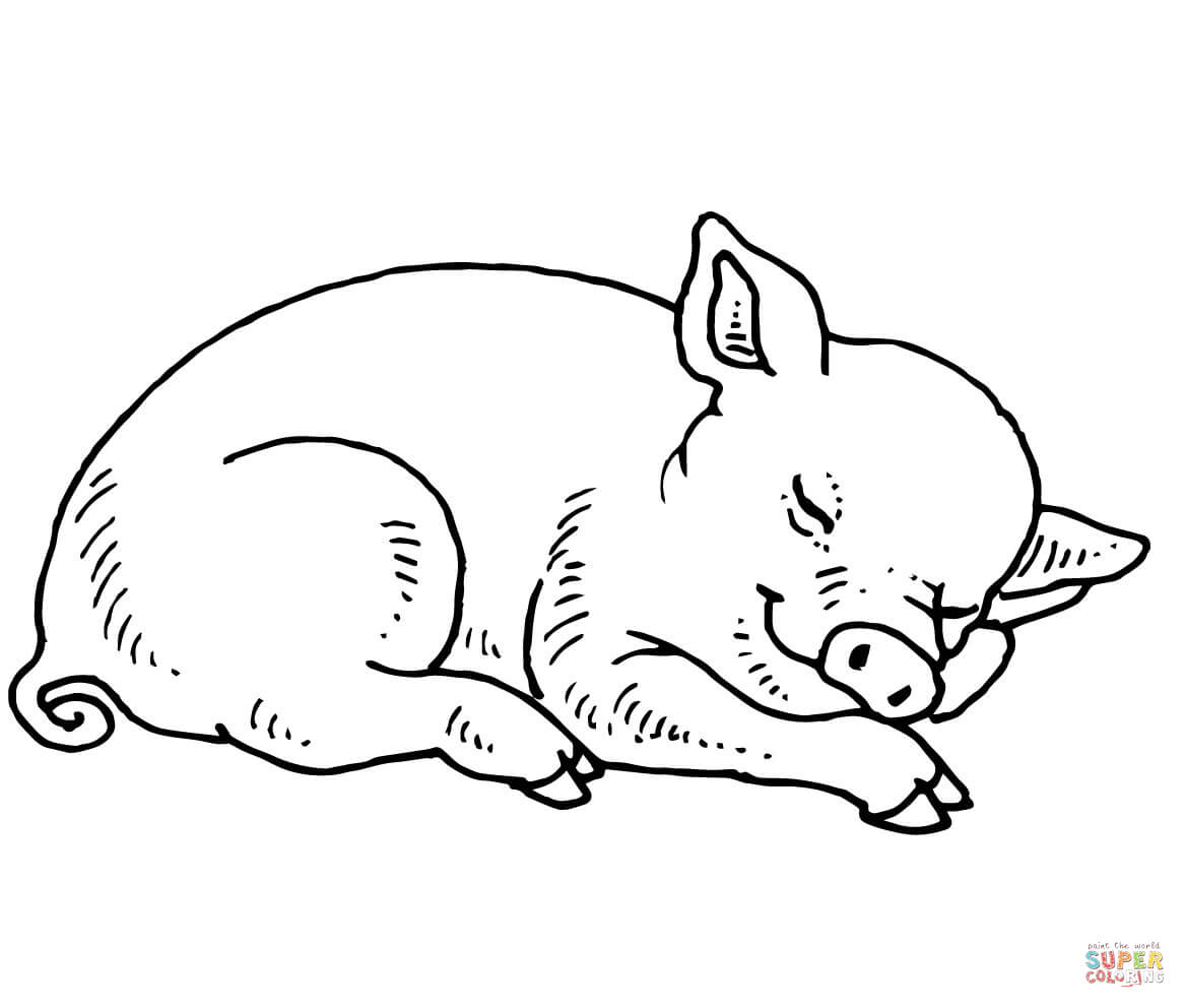 1168x992 Sleeping Baby Pig Coloring Page Free Printable Coloring Pages