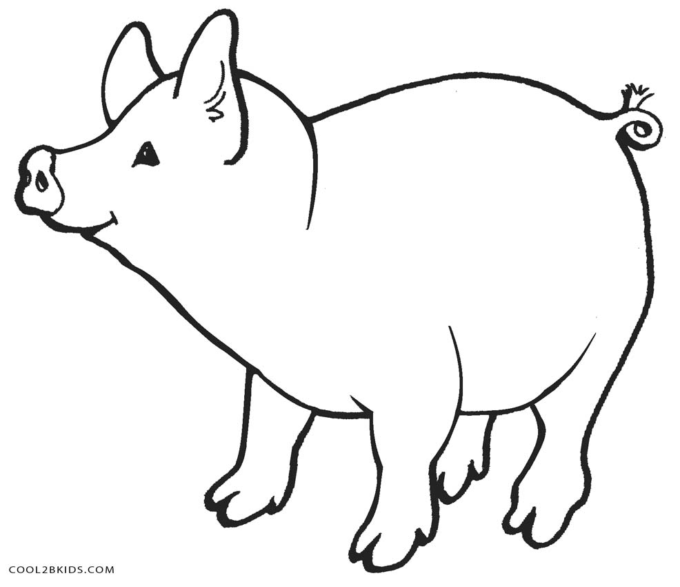 986x850 Superior Pig Coloring Pages Free Printable For Kids Cool2bkids