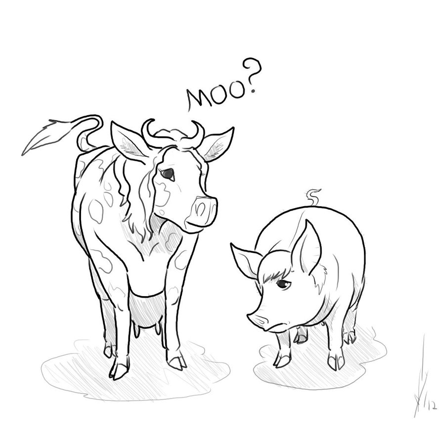 894x894 Drawn Pig Drawn Cow