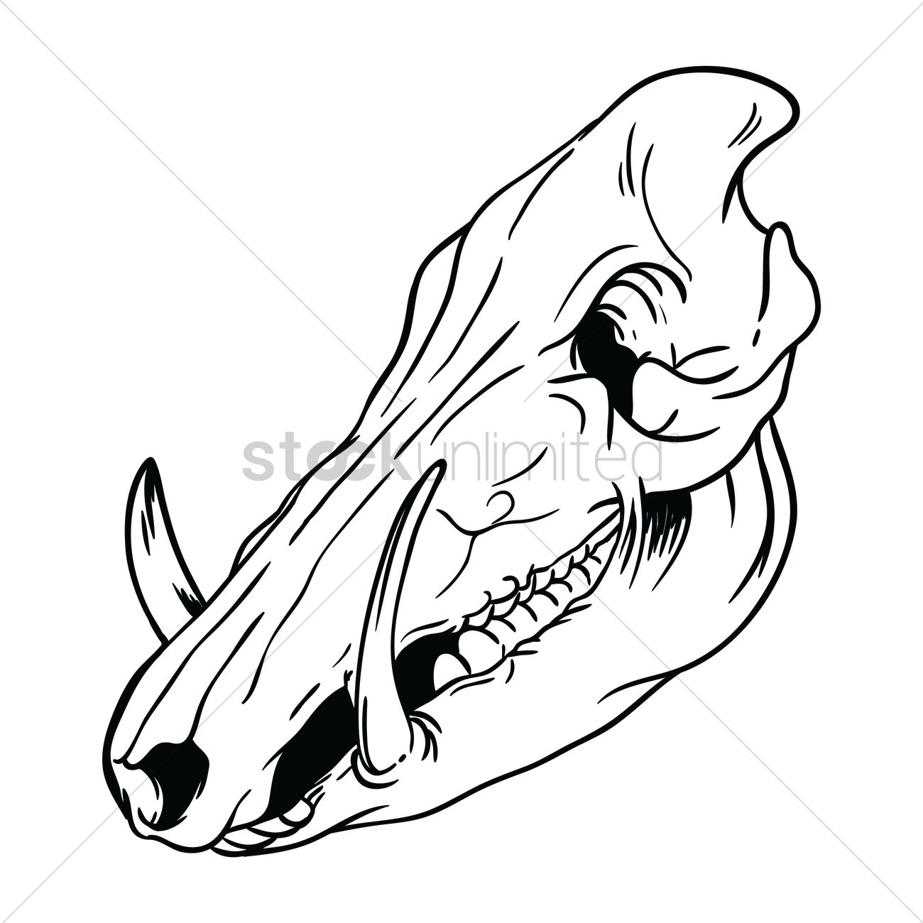 1300x1300 Free Pig Skull Vector Image