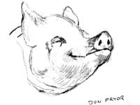 200x150 Pigs Images Pig Drawings Photo (1078512)