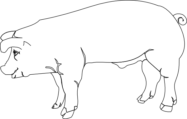 600x381 Pig Outline Clip Art