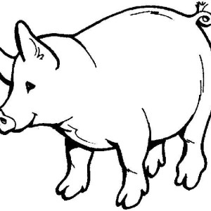 300x300 Pig Outline Coloring Page Coloring Sky