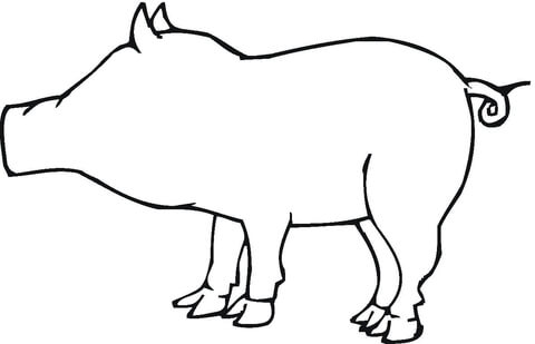 480x309 Pig Outline Coloring Page Free Printable Coloring Pages
