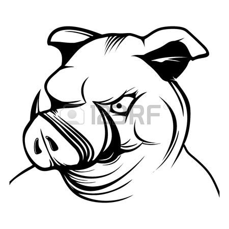 450x450 Image Of A Pig Head On Pink Background Royalty Free Cliparts