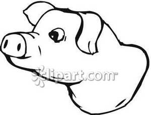 300x228 And White Pig's Head