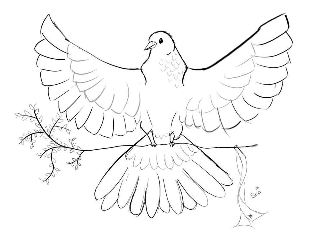 1004x796 Pigeon Symbol For Peace By Catharina Sco