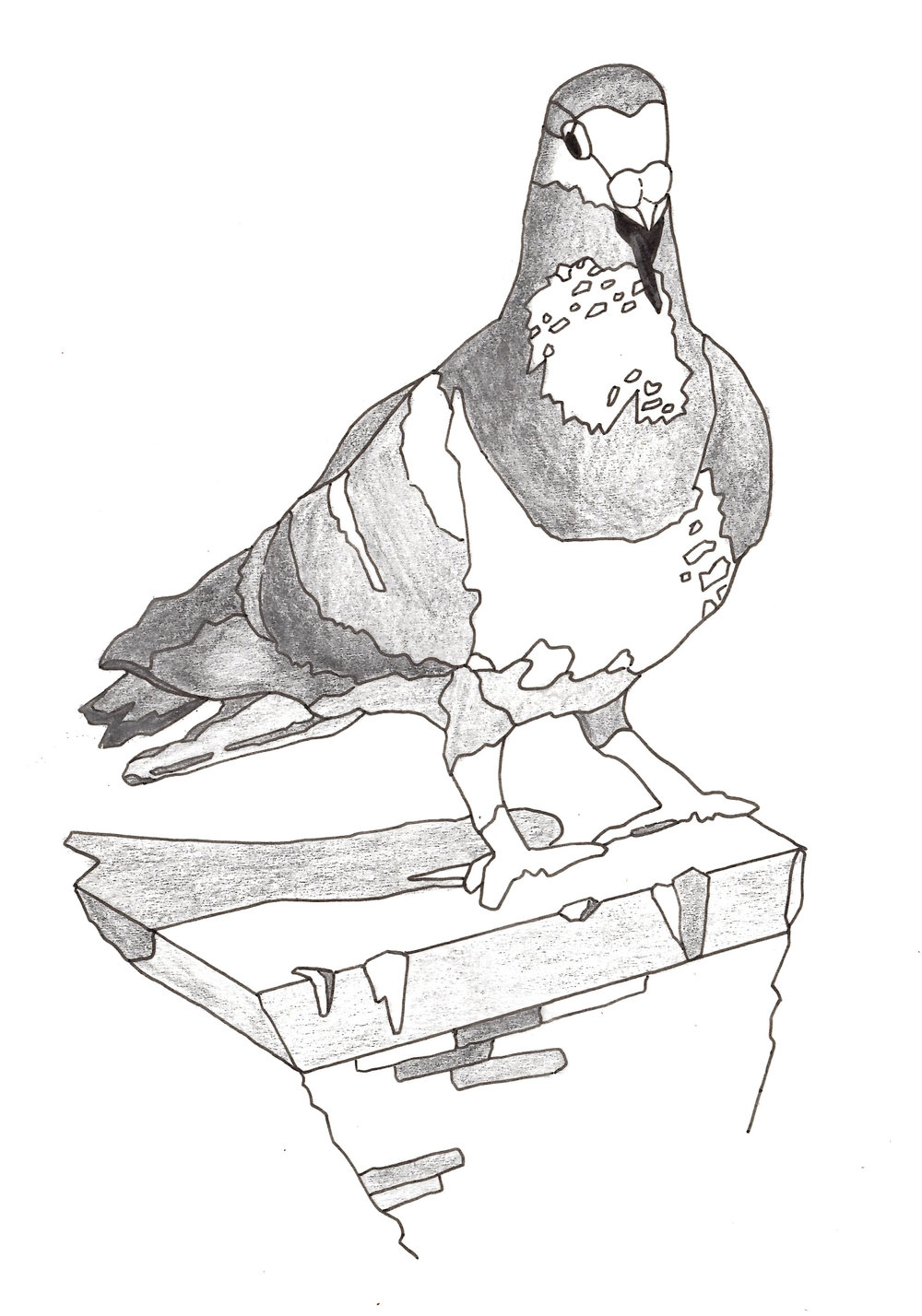 1000x1428 Drawings 2015