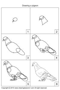 200x300 Index Of Drawing