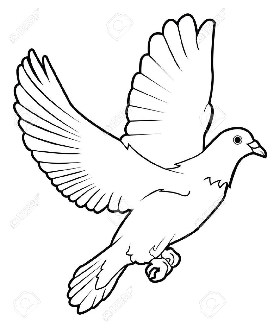 1108x1300 Pigeon Images For Drawing Wallpapergenk