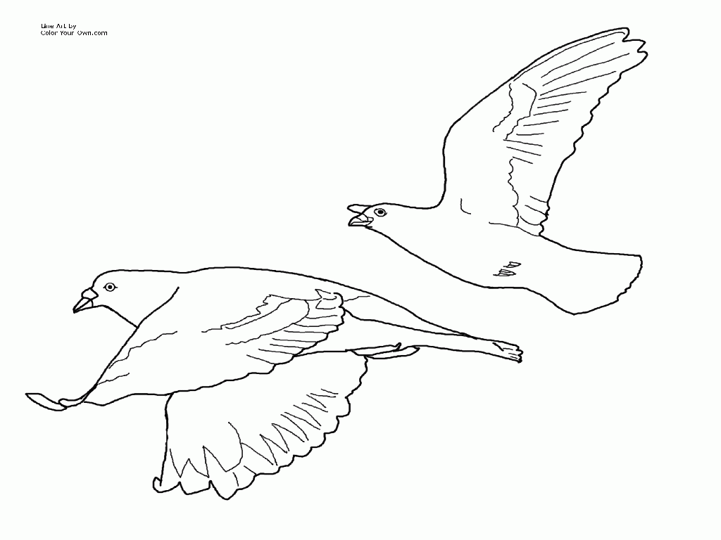 1024x768 Cute Coloring Pages Of Pigeon Many Interesting Cliparts