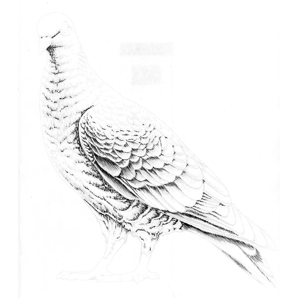 1024x1024 Michael Hegedus Clay Pigeons