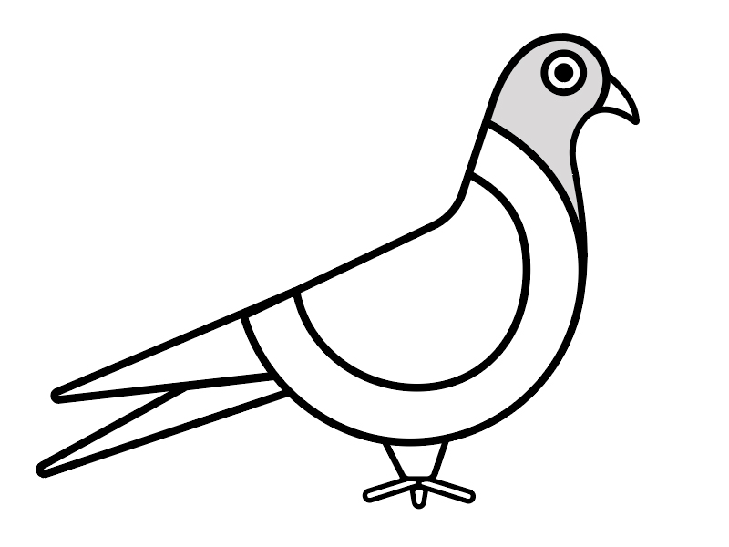 800x600 Pigeon Logo Logos, Flat Illustration And Vector Art
