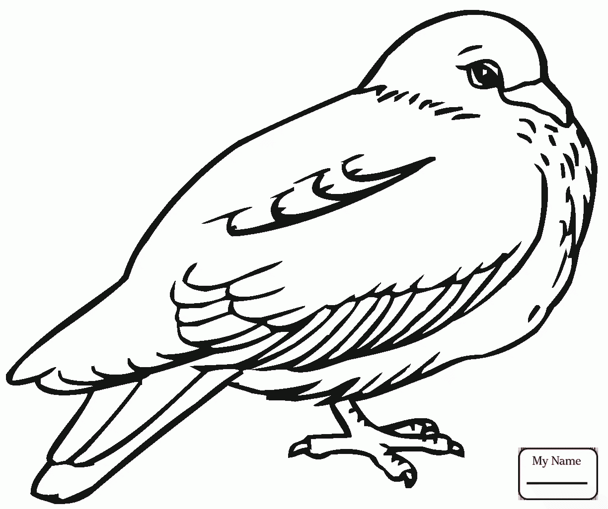 1224x1026 Pigeons Pigeon 20 Birds Coloring Pages