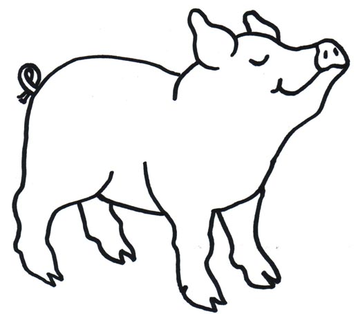 518x454 Drawing Clipart Pig