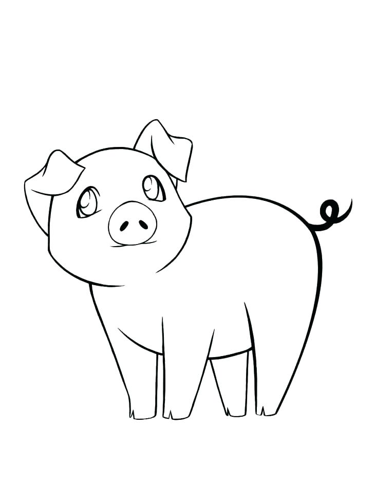 728x942 Pig Coloring Page Fancy Pig Coloring Pages For Your Kids Coloring