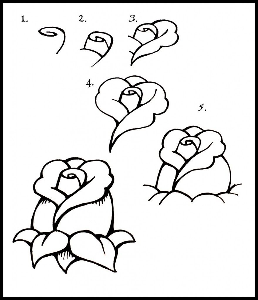 879x1024 How To Draw A Rose Step By Step Zen Rose, Google