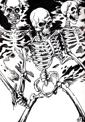 299x429 Skeleton Titannica Fandom Powered By Wikia