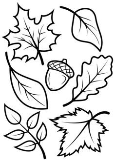 236x334 Learn How To Draw A Leaf, One Of The Maple Variety