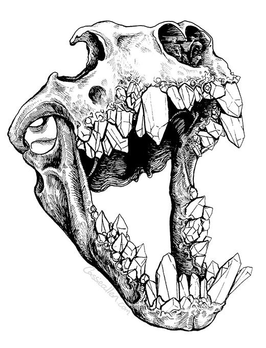 520x681 52 Best Skulls Images On Skull, Skull Art And Skulls