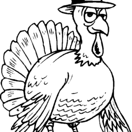 268x268 Turkey With Pilgrim Hat Coloring Pages