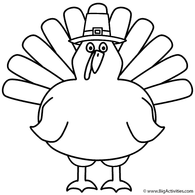 650x650 Turkey With Pilgrim Hat
