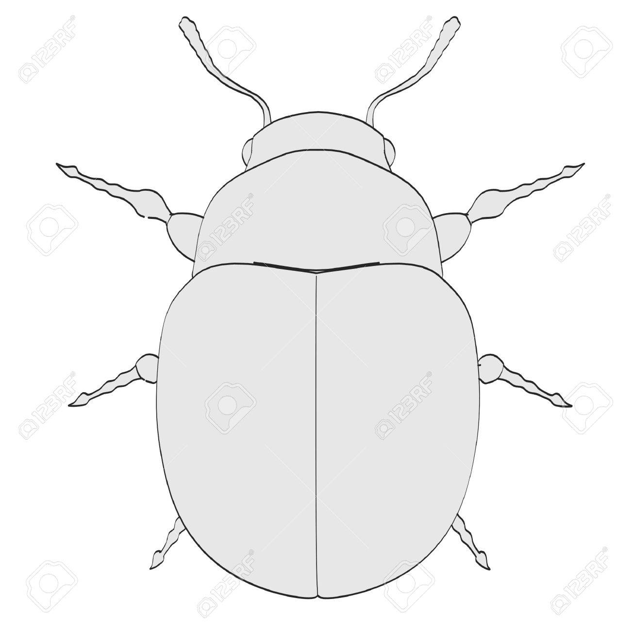 1300x1300 Cartoon Image Of Potato Beetle Stock Photo, Picture And Royalty