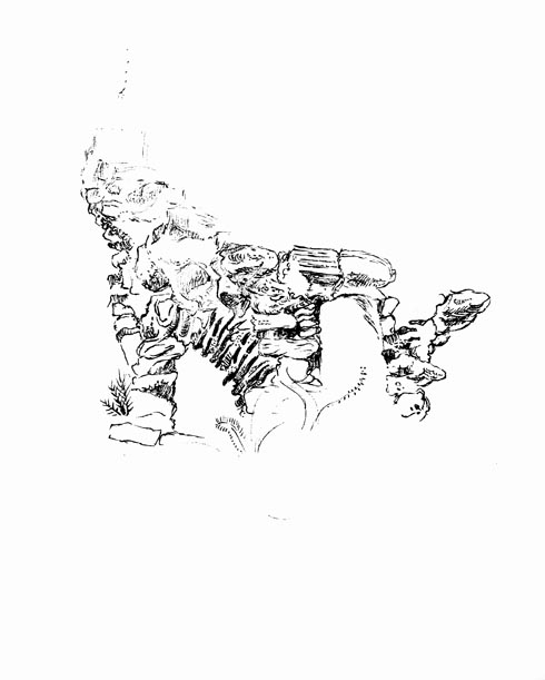 490x611 Pillars Drawing On Istanbul