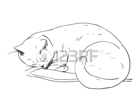 450x360 Vector Sketch Of Cat On A Pillow. Hand Draw Illustration. Royalty