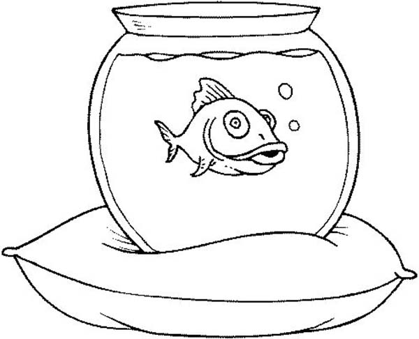 600x486 Fish Tank On A Pillow Coloring Page