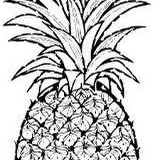 225x225 How To Draw A Pineapple 9 Steps (With Pictures)