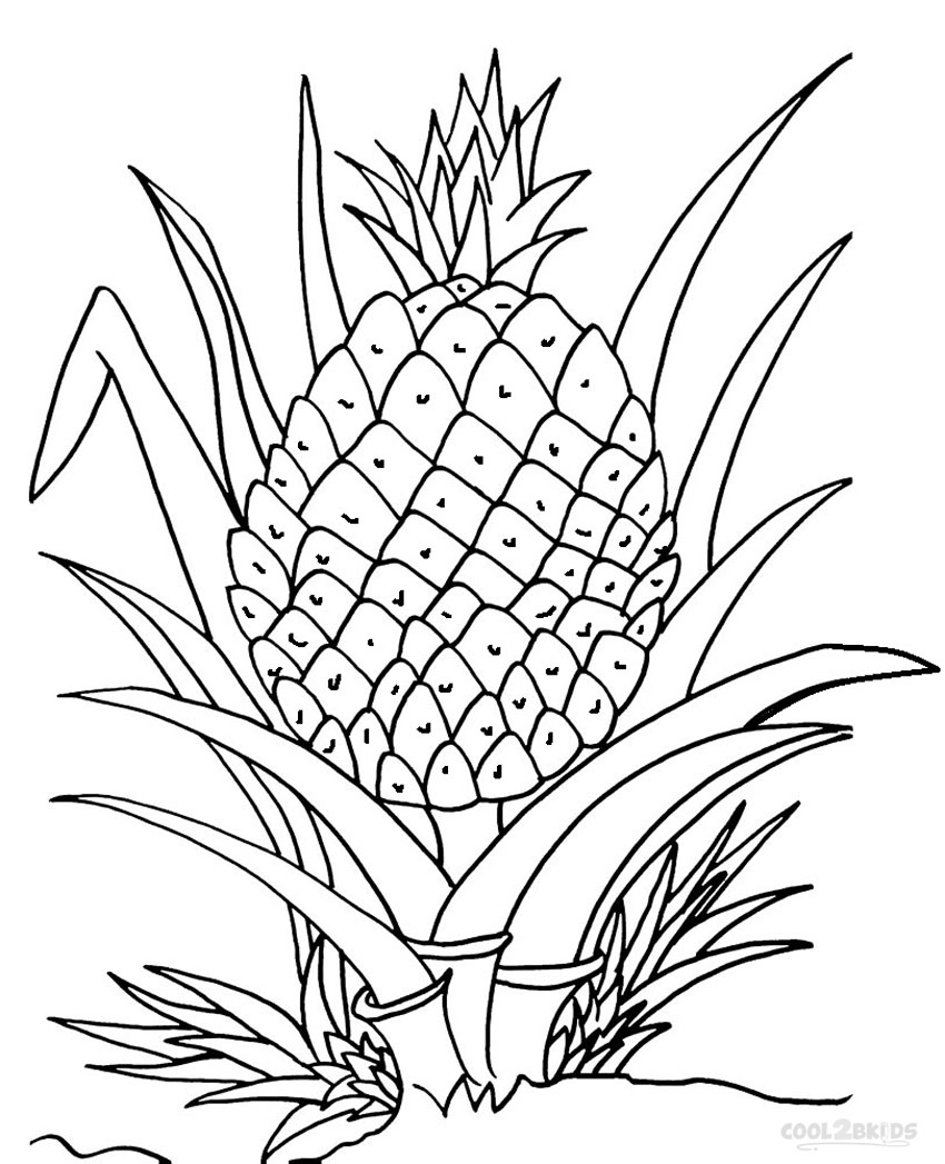 850x1047 Printable Pineapple Coloring Pages For Kids Cool2bkids