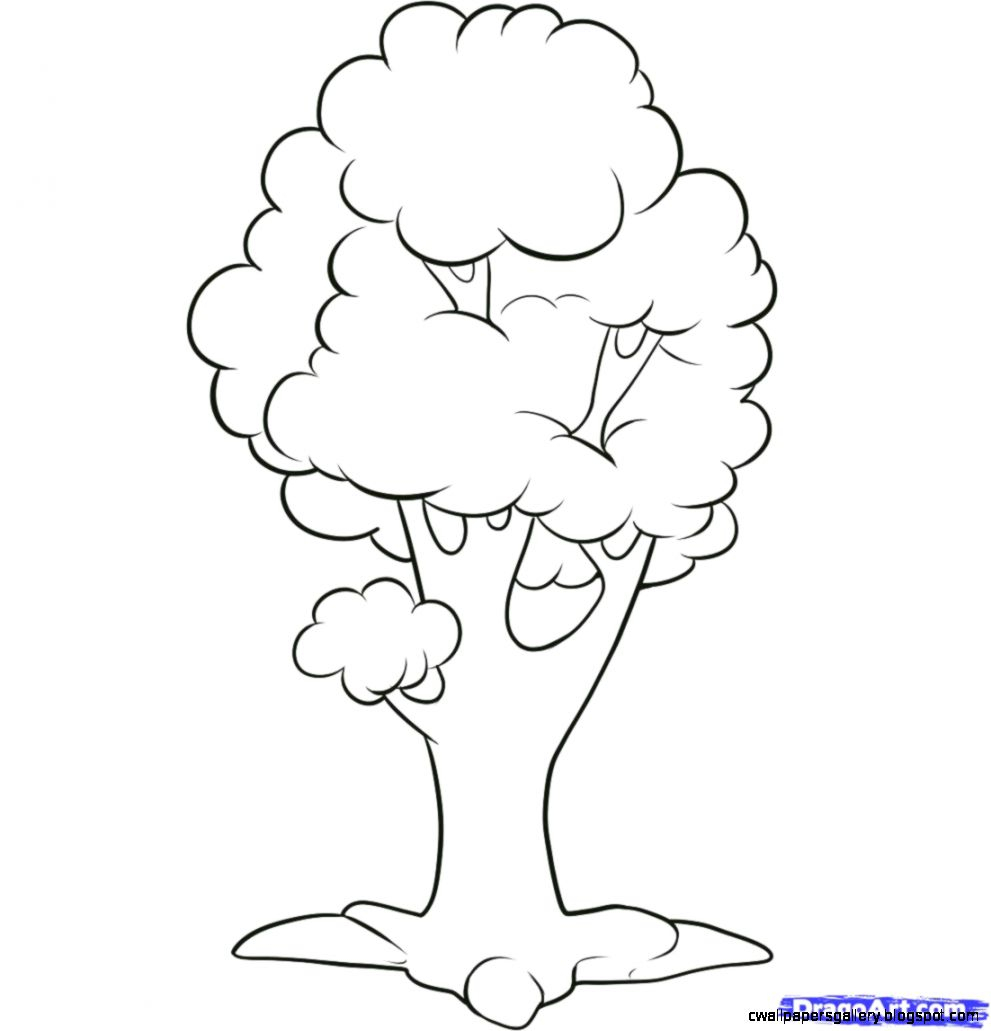 991x1031 Simple Drawing Of A Tree Coloring Pages Simple Tree Drawing Ideas