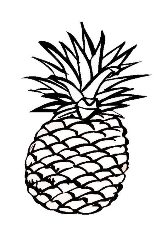 531x750 Coloring Page Pineapple
