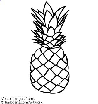 335x355 Download Hand Drawn Pineapple