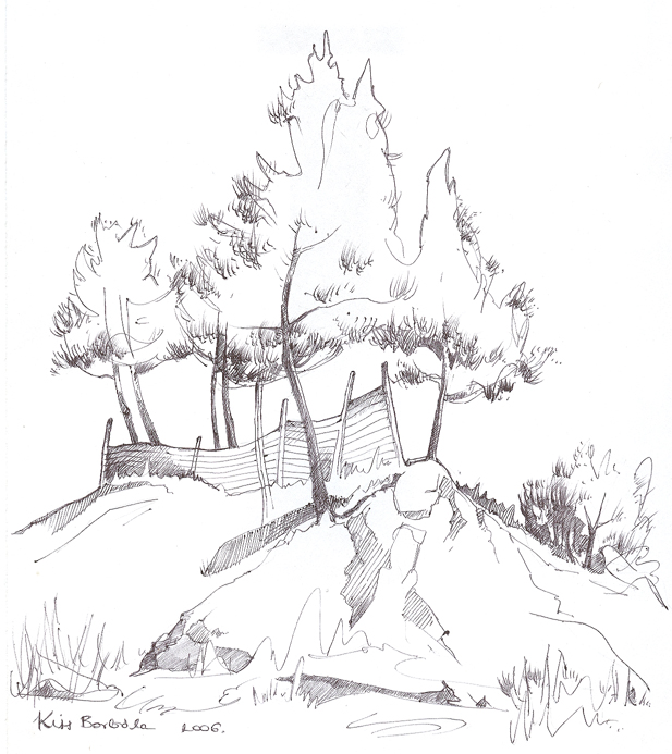 617x693 Pine Trees