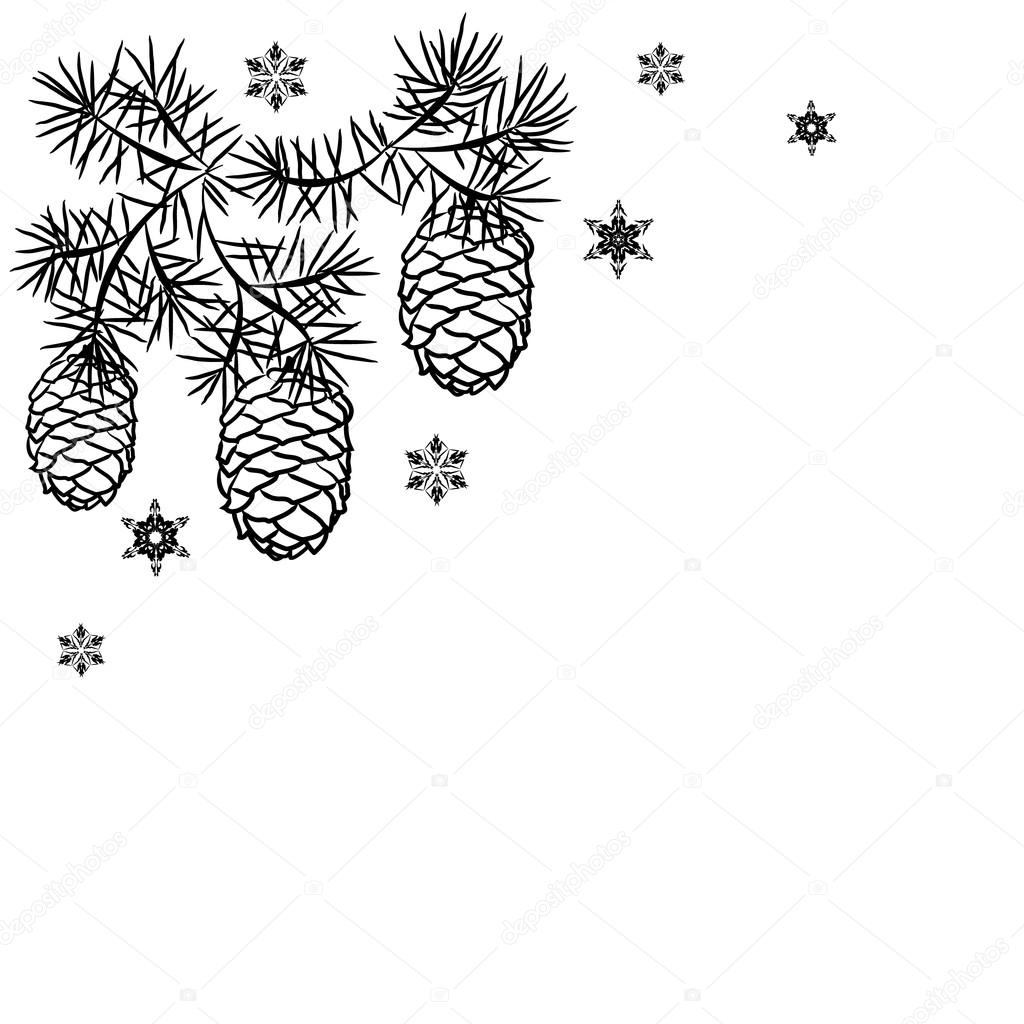 1024x1024 Pine Branches With Cones Stock Vector Tatiana54