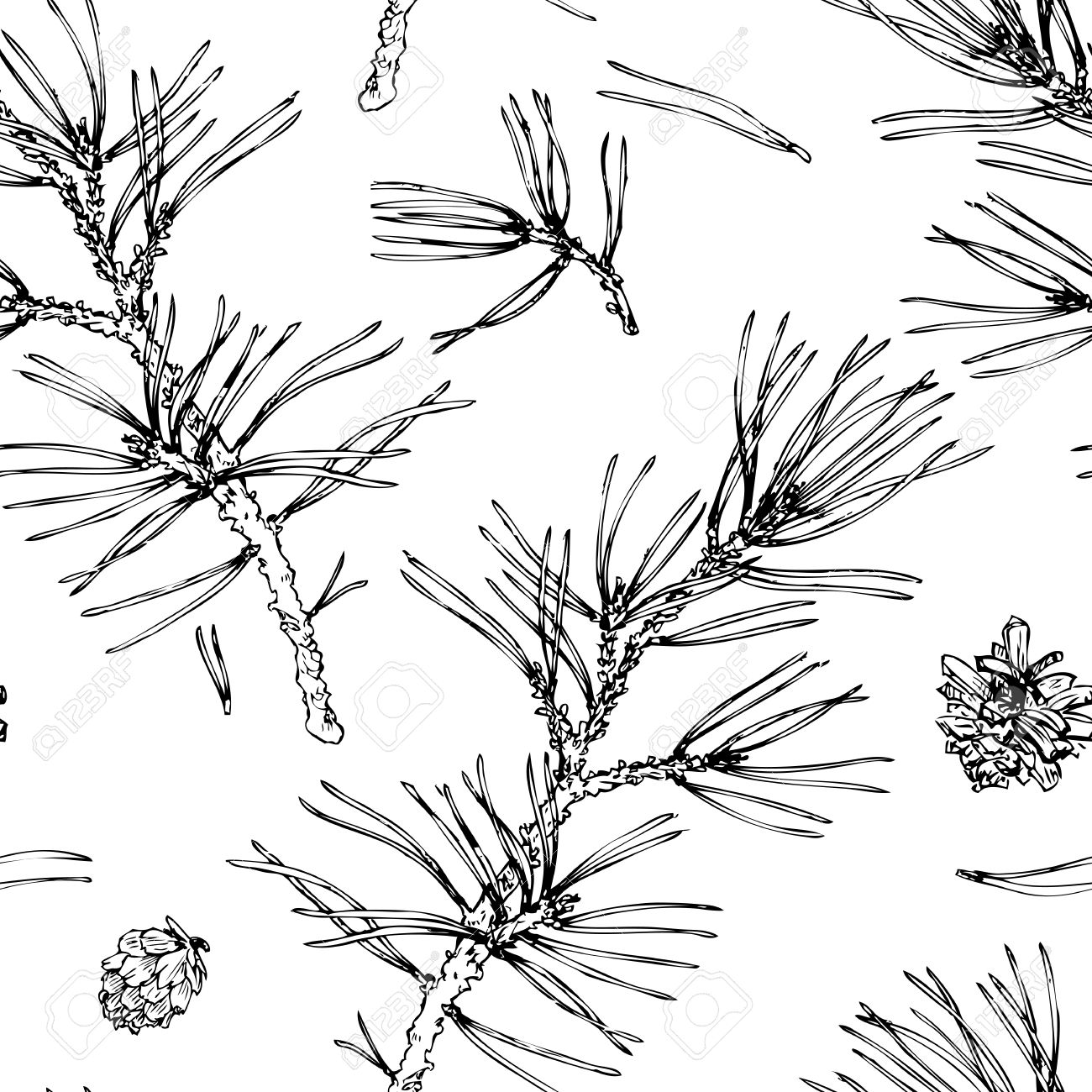1300x1300 Vector Seamless Pattern With Hand Drawn Pine Branches, Pine