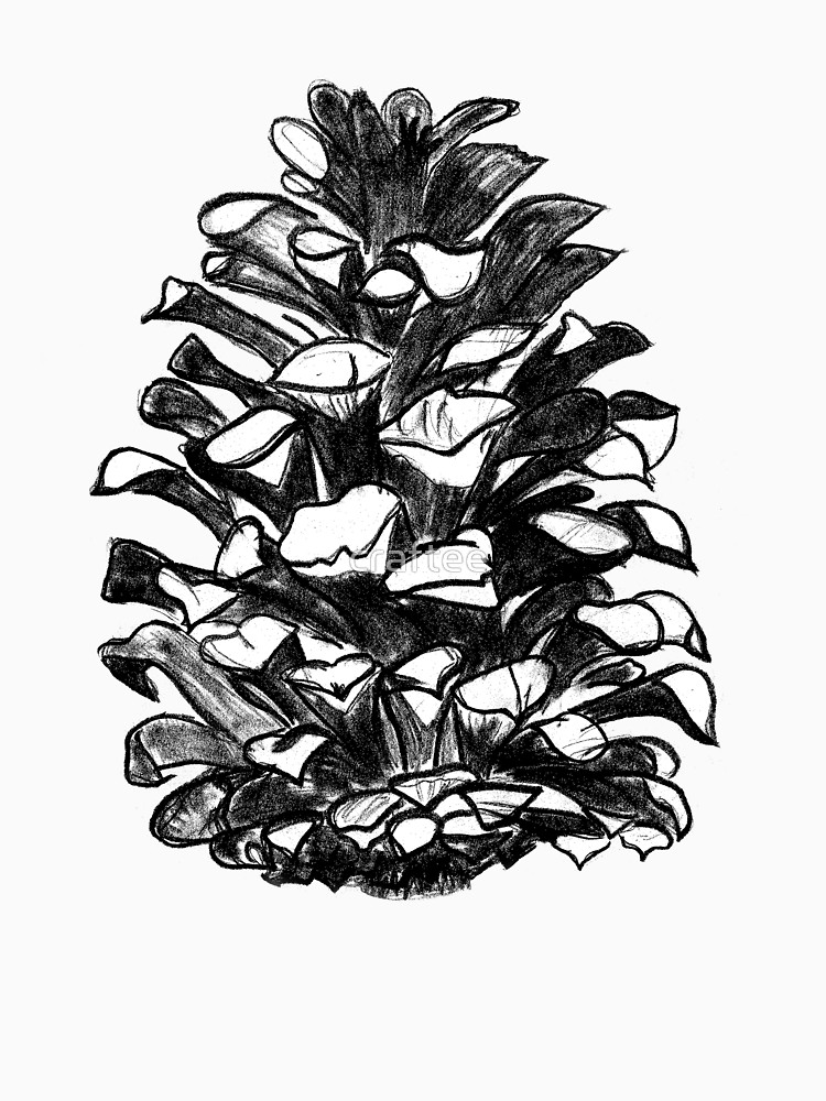 Pine Cone Drawing at GetDrawings.com | Free for personal use Pine Cone